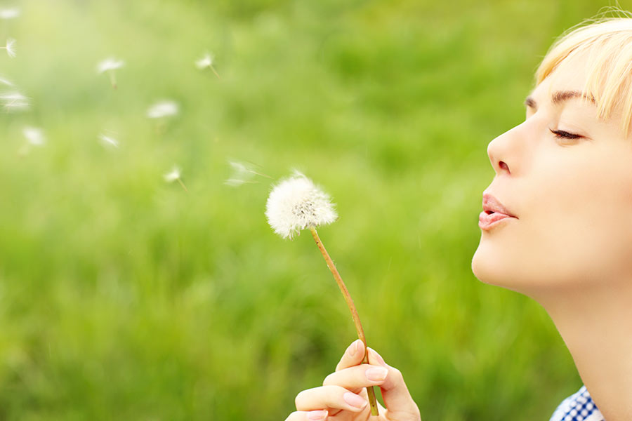 Pusteblume